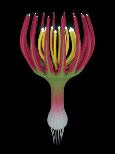 Alien Plant preview image