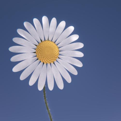 margarita preview image