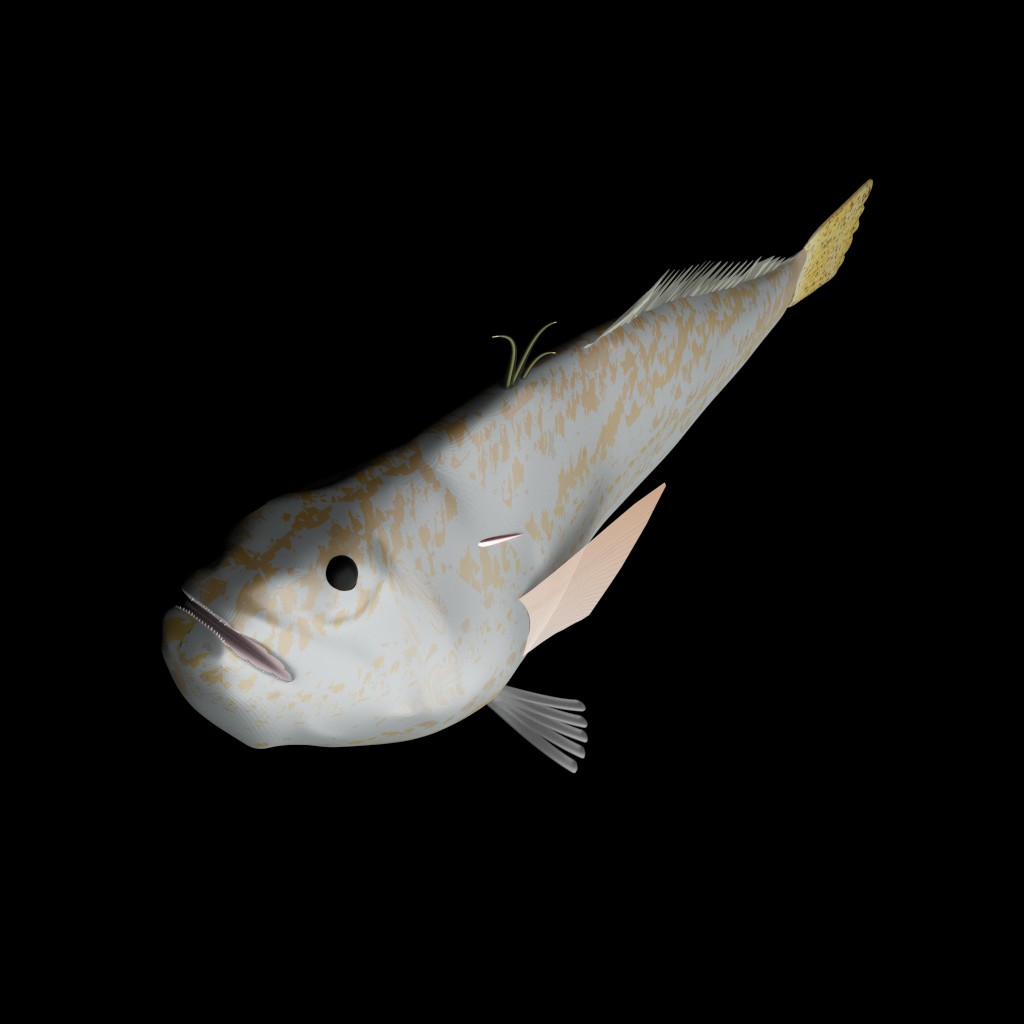 Lesser Weever preview image 2