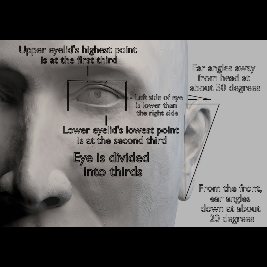 Proportions of the Face preview image 2