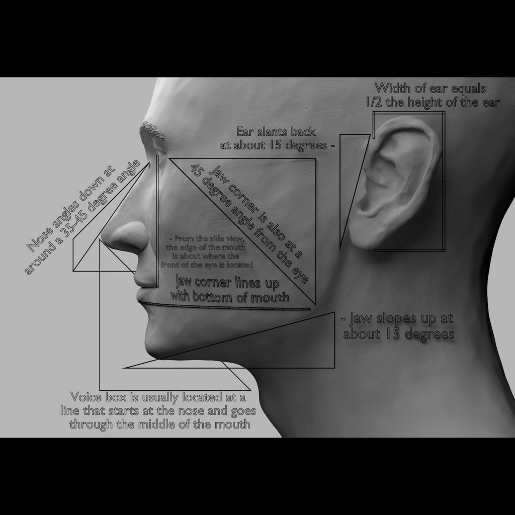 Proportions of the Face preview image 4