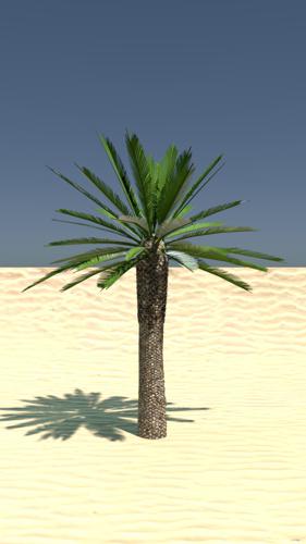 Palm Tree preview image