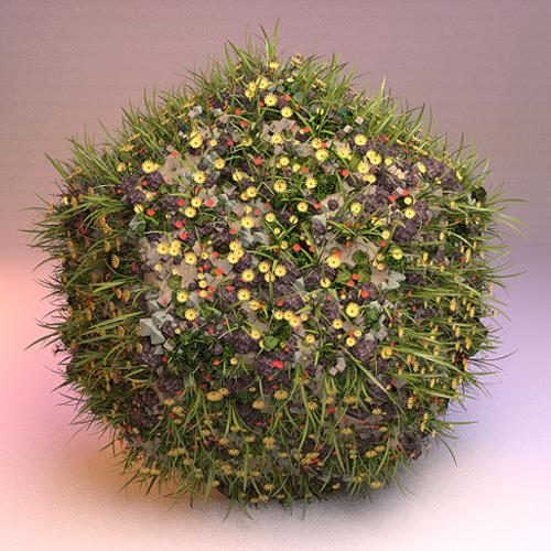 Life in rock 1.0 preview image