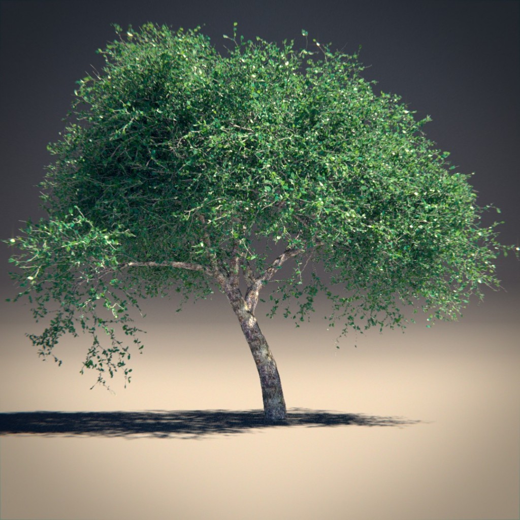 Tree preview image 1