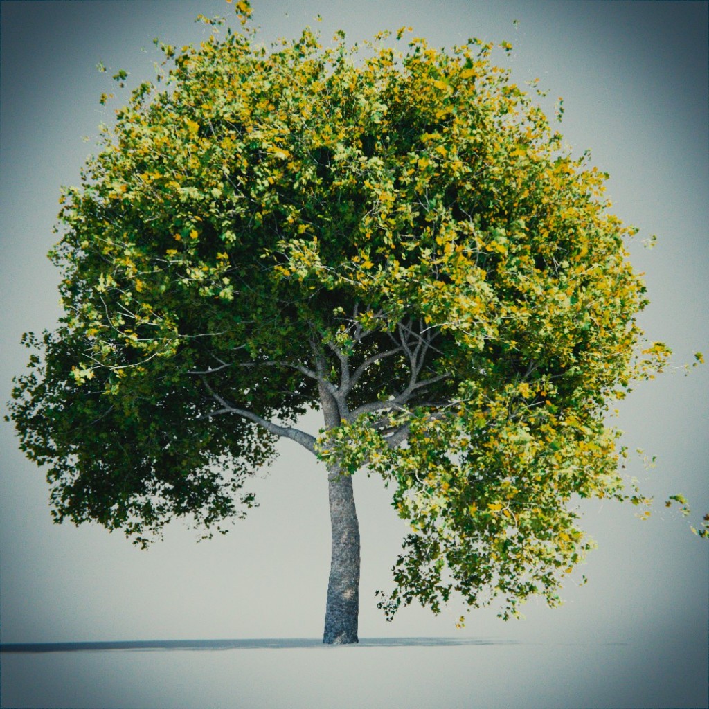 Tree, again ! preview image 1