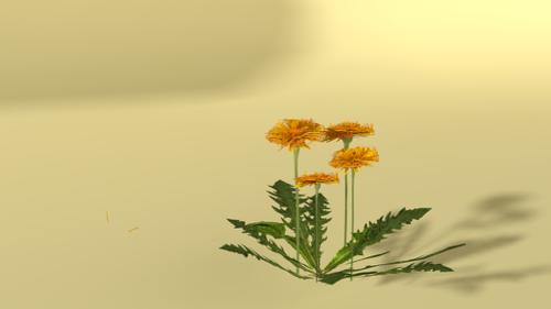 Loewenzahn, Taraxacum offficinale preview image