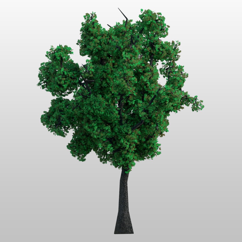 10 Samples Tree preview image 1