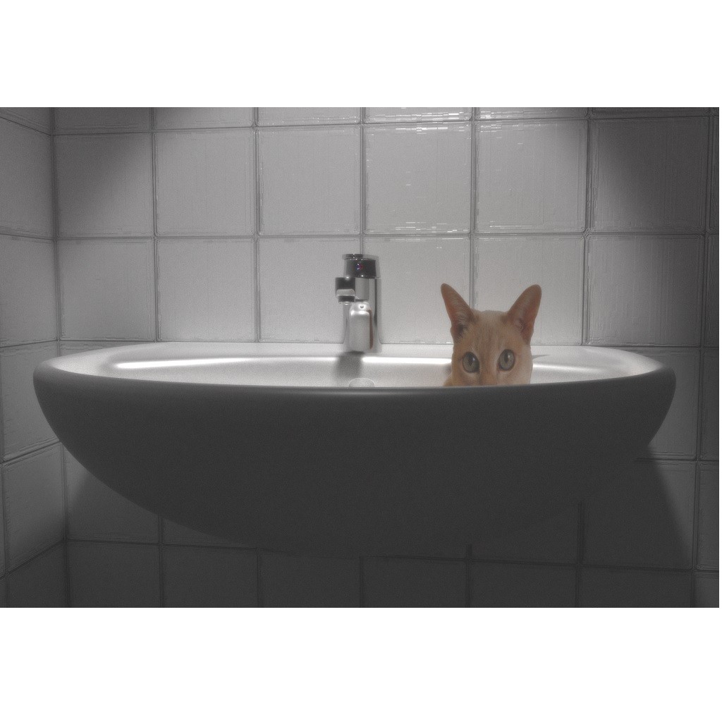 The Cat in a Basin preview image 1