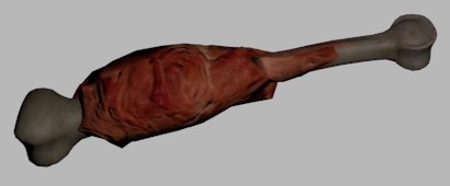 Chicken / turkey leg bone with meet preview image 1