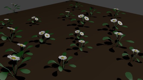 Daisy Flowers preview image 1