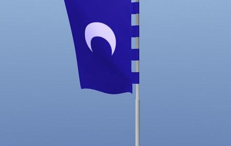Vertical Flag pole preview image