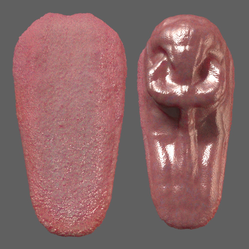 Procedural tongue shader preview image 2