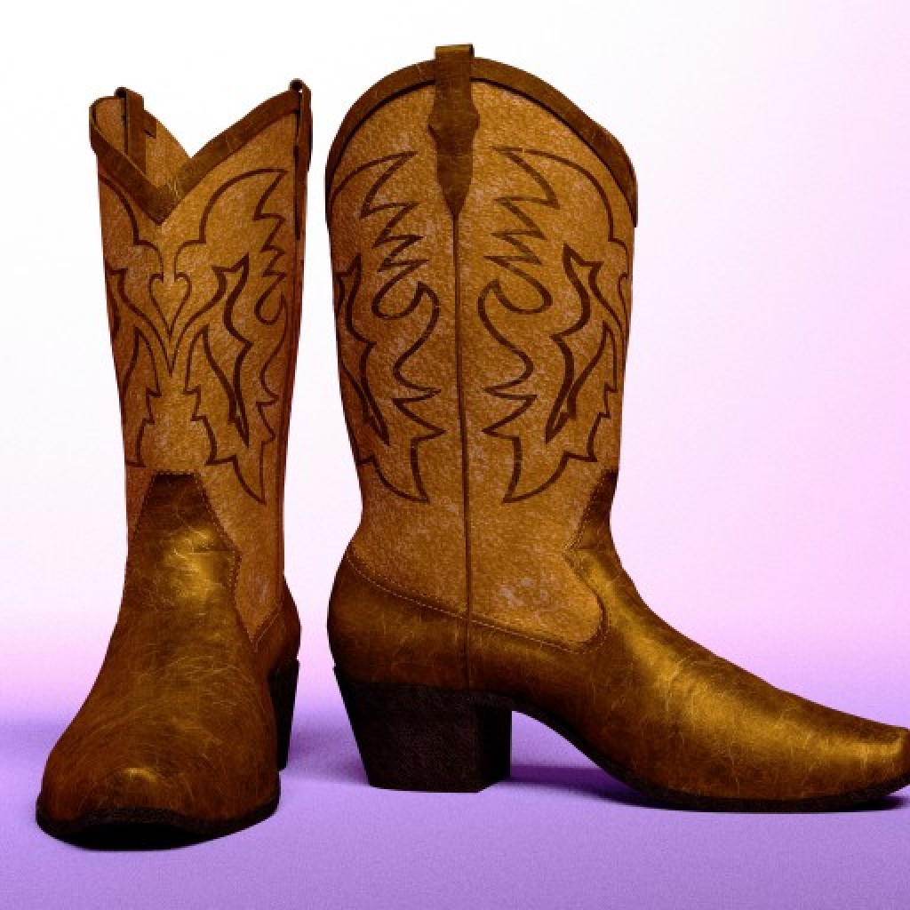Cowboy Boots preview image 1