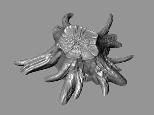 ben simonds nature chopped treestump preview image