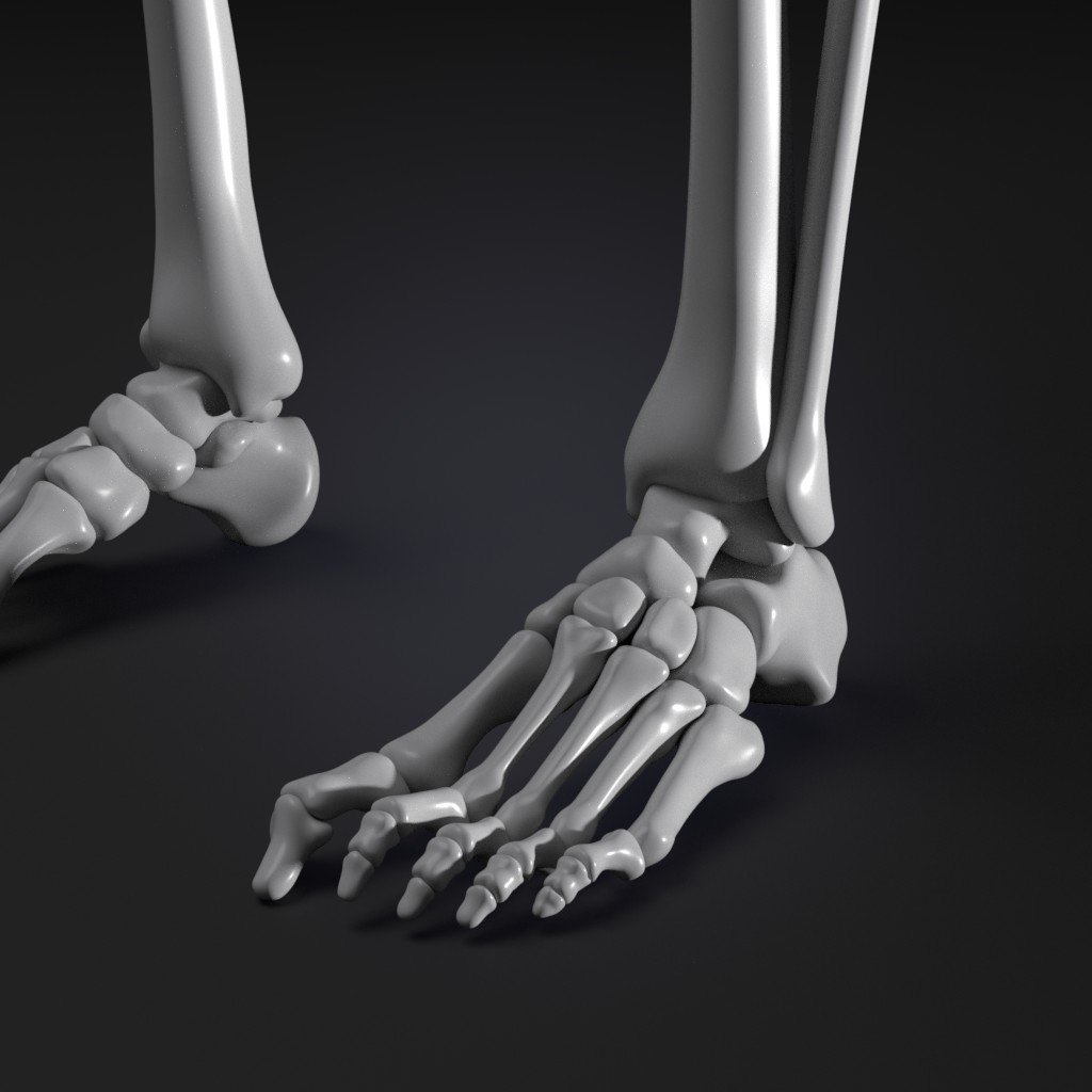 Skeleton preview image 5