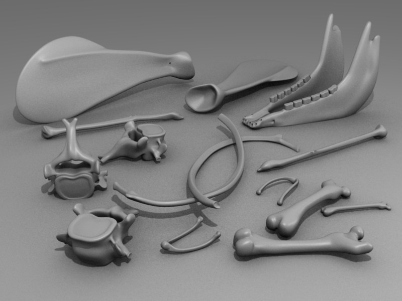 Bones preview image 1