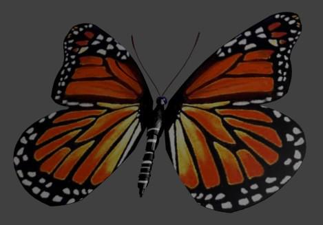 Red Butterfly preview image