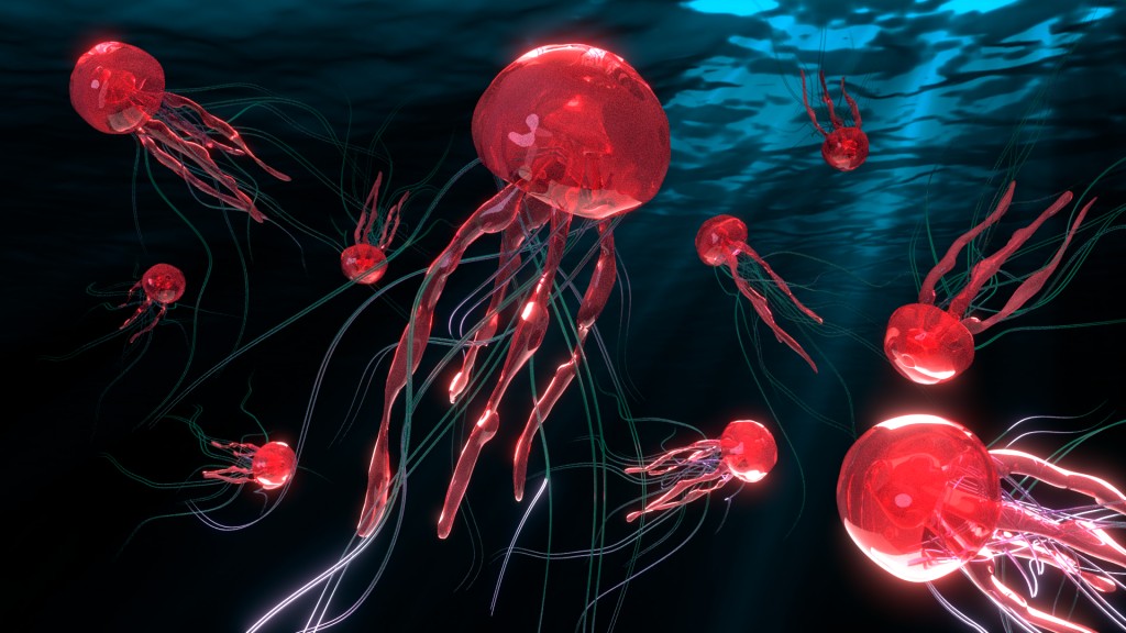 Pink Jellyfish Swarm preview image 2