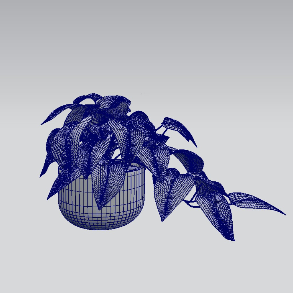 Indoor Plant In A Pot preview image 2