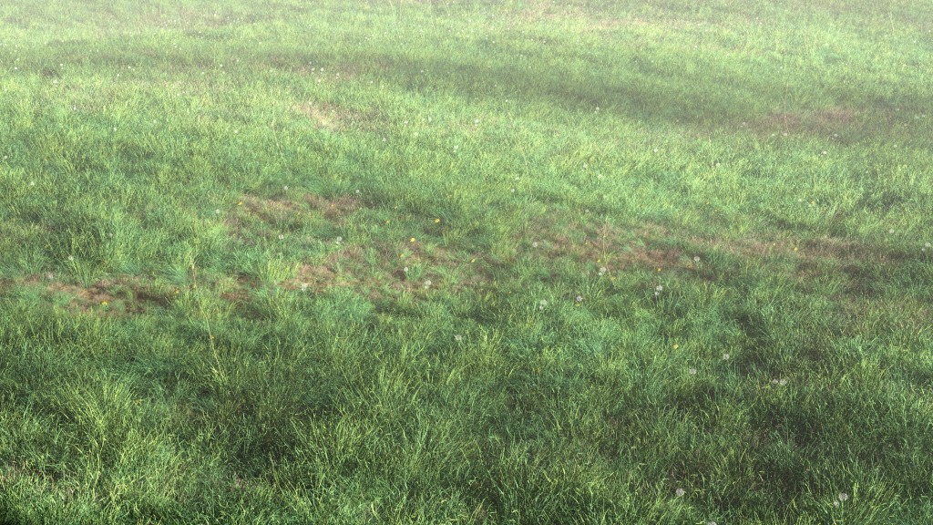 Realistic Grass Field preview image 1