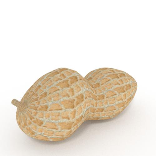 Peanut preview image