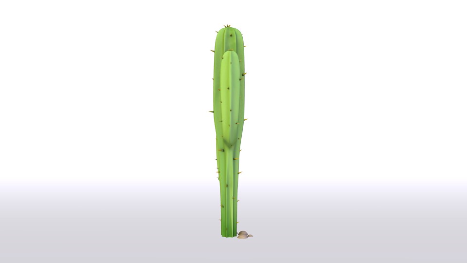 cactus preview image 2