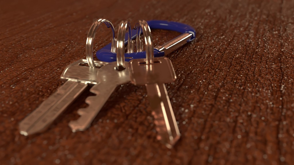 Carabiner Keychain preview image 1