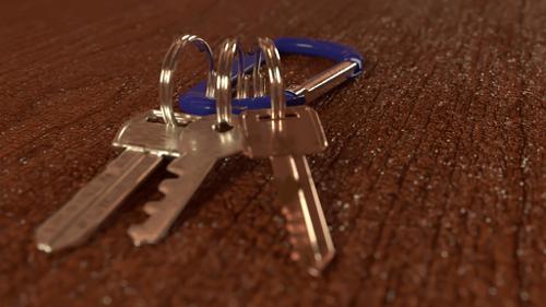 Carabiner Keychain preview image