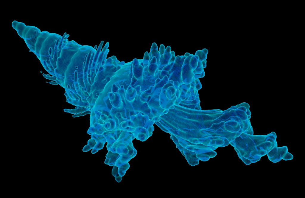 Turbulent Wireframe Hologram preview image 4