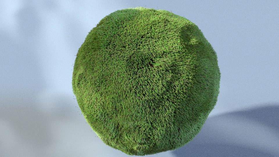 Moss With Sporophyte preview image 3