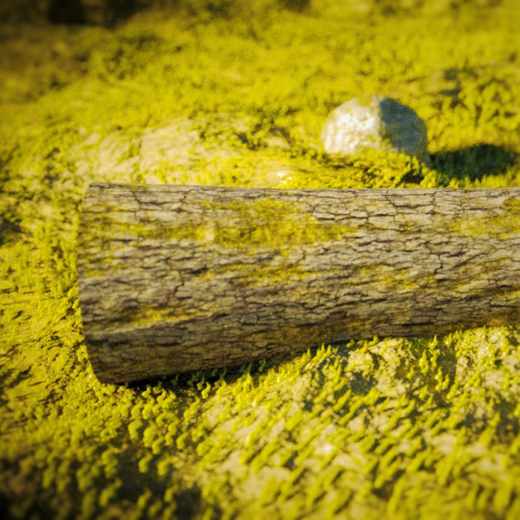 Grass, Log, and Rock preview image 1