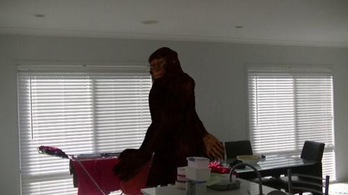 Bigfoot preview image