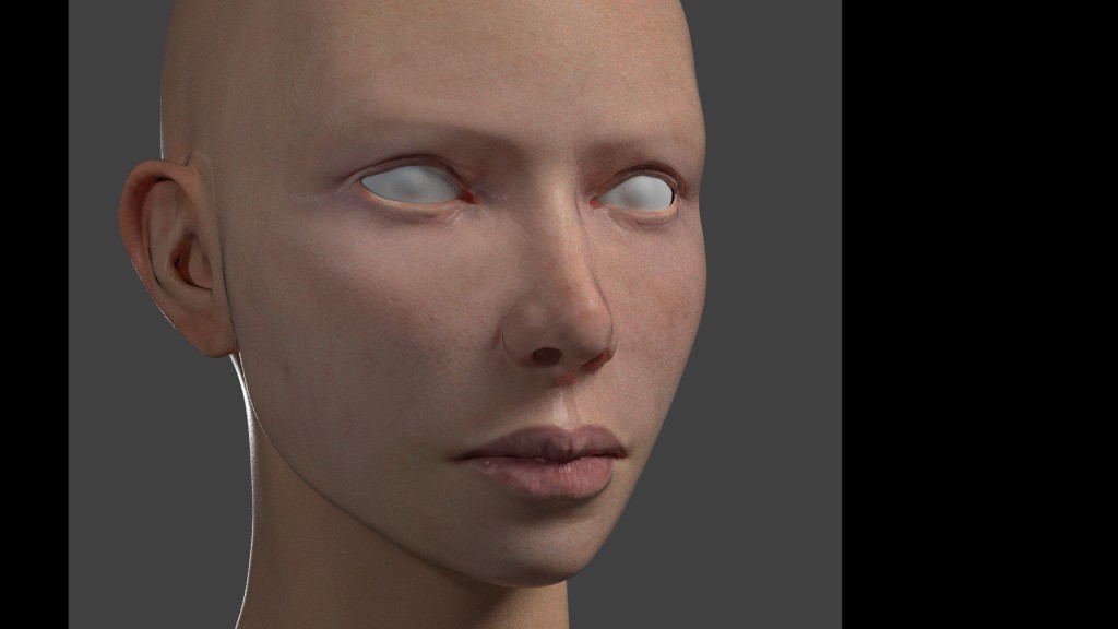 Skin texturing demonstration. preview image 1