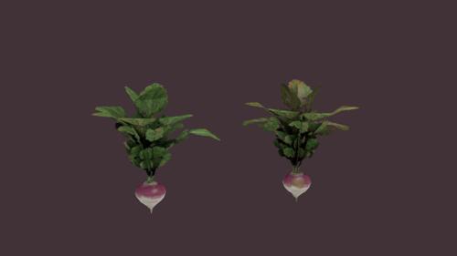 krizas trash turnip preview image