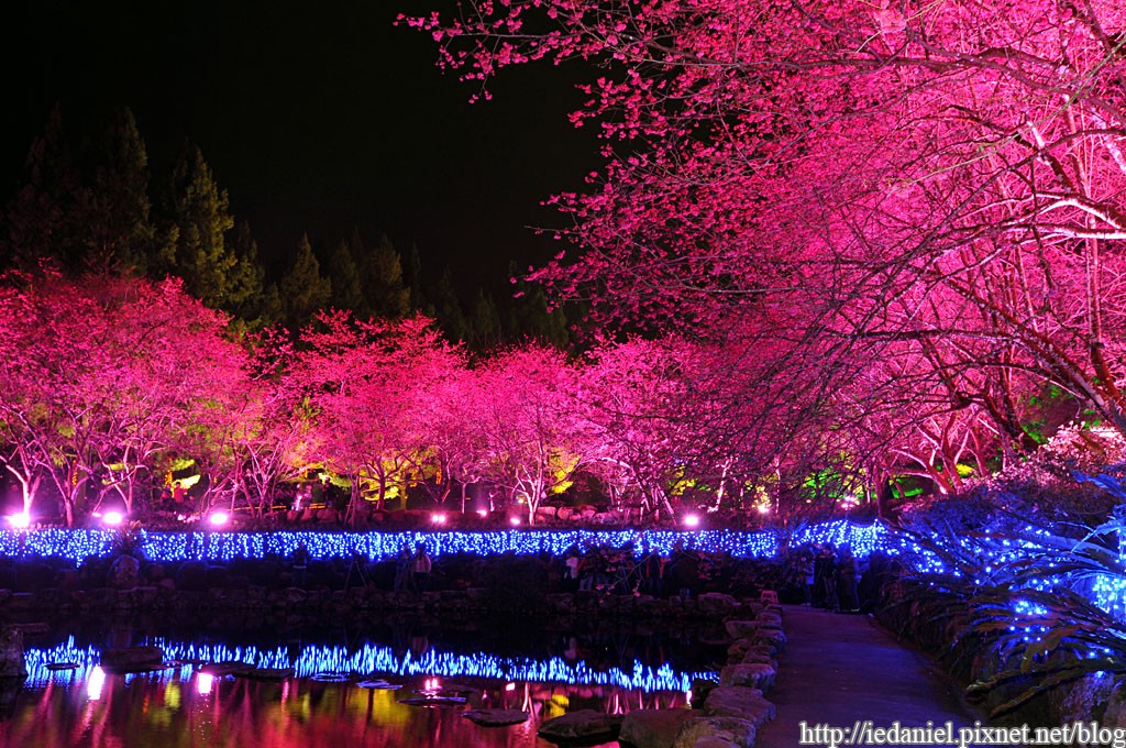 Taiwan Cherry Blossom Lake preview image 1