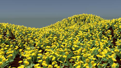 Dandelions preview image