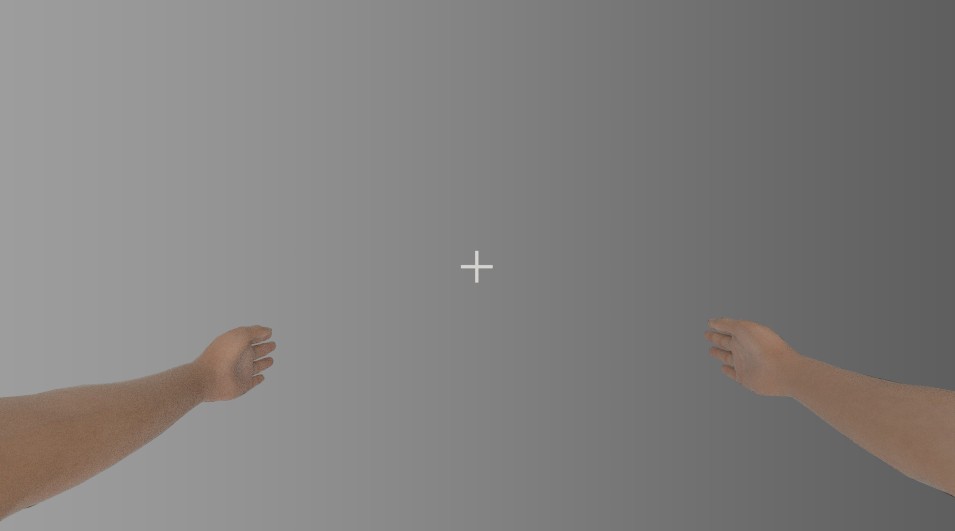 First Person Arm Rig (Wing Rig) preview image 2