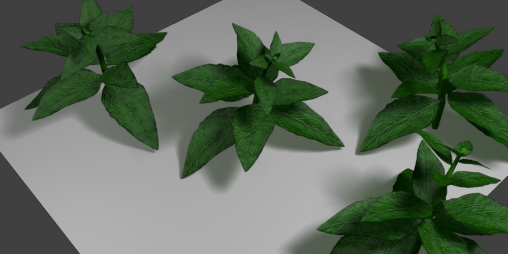 JS LinAx nature pigweed preview image 1