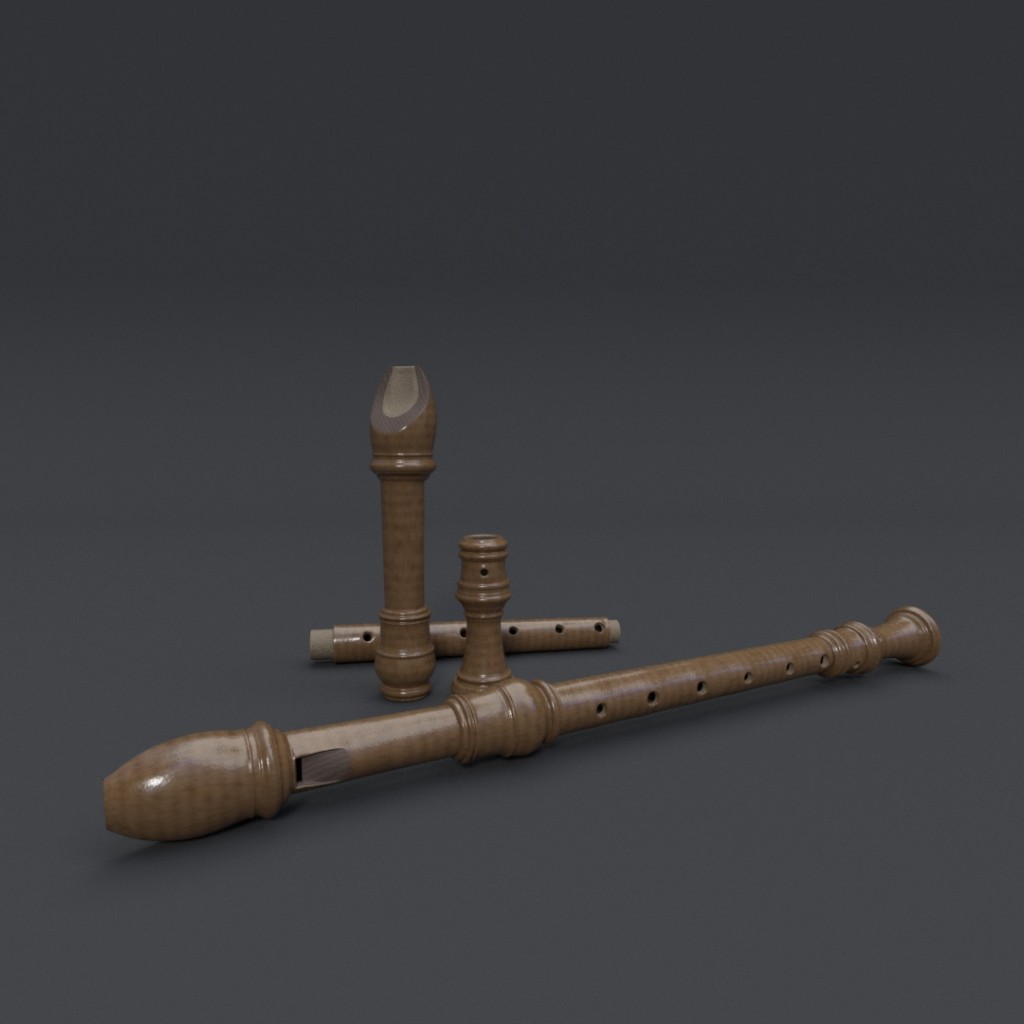 Recorder with Case preview image 2