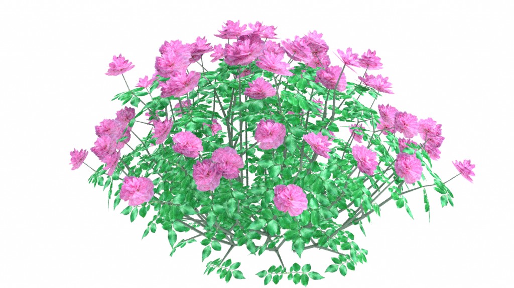 Rose bush preview image 1