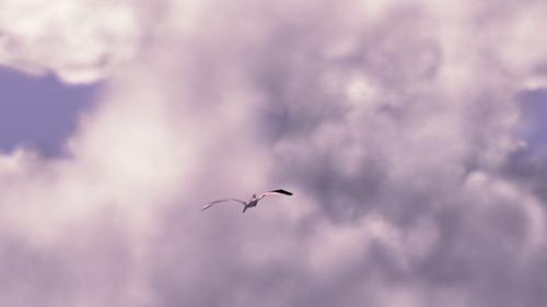 clouds preview image