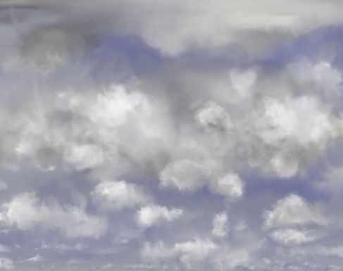 Wip Skydomes Overcast preview image