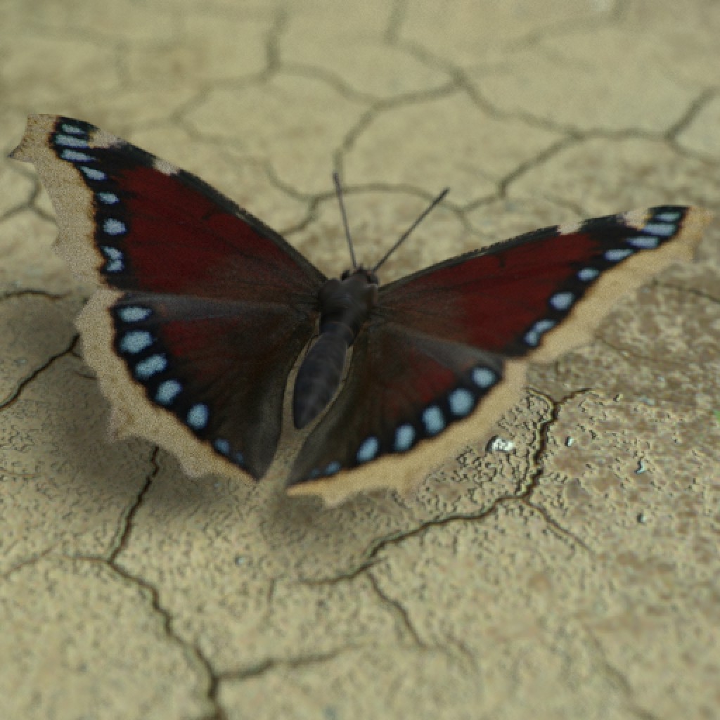 Butterfly Model preview image 1