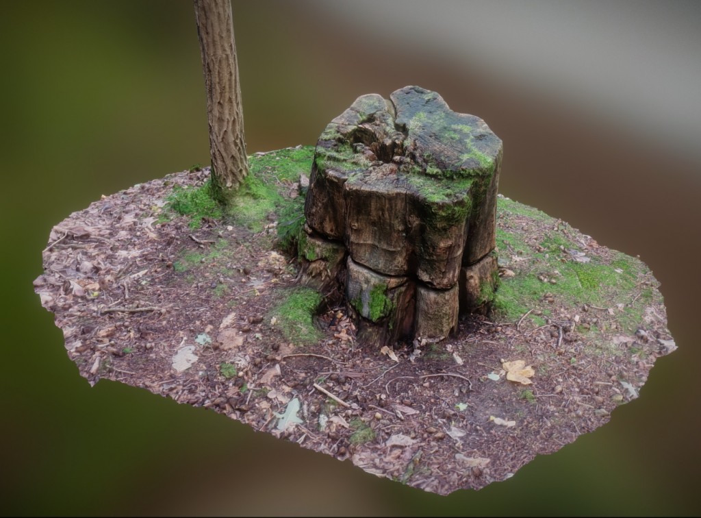 Stump and trunk  preview image 1