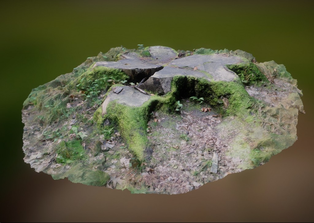 Big stump in a wood surrounded by grass and moss preview image 1