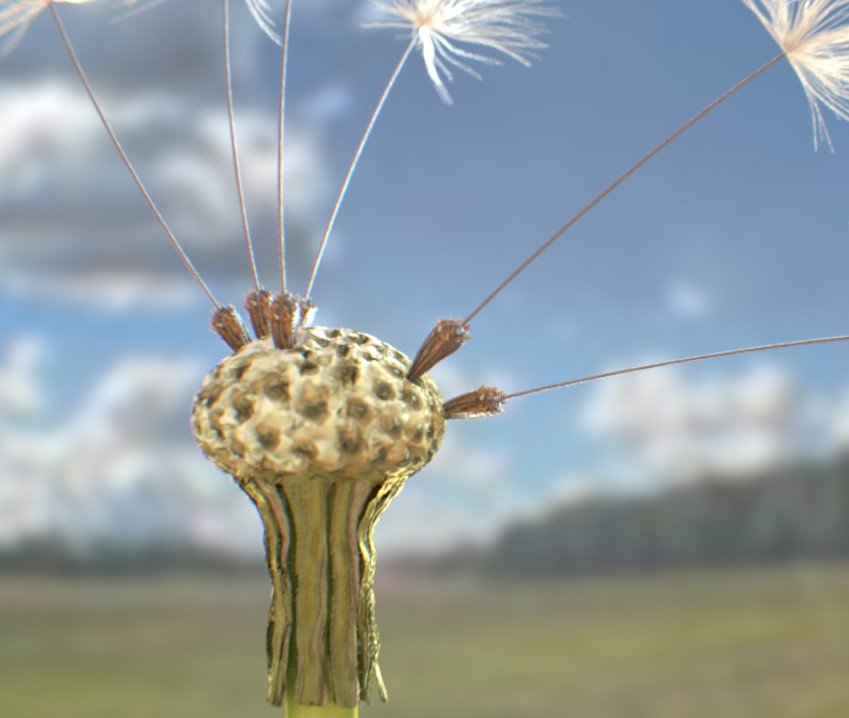 dandelion preview image 1