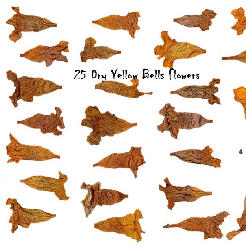 @utumn 2017 - Textures Vol - I ( YellowBells Dry Flower) preview image 1