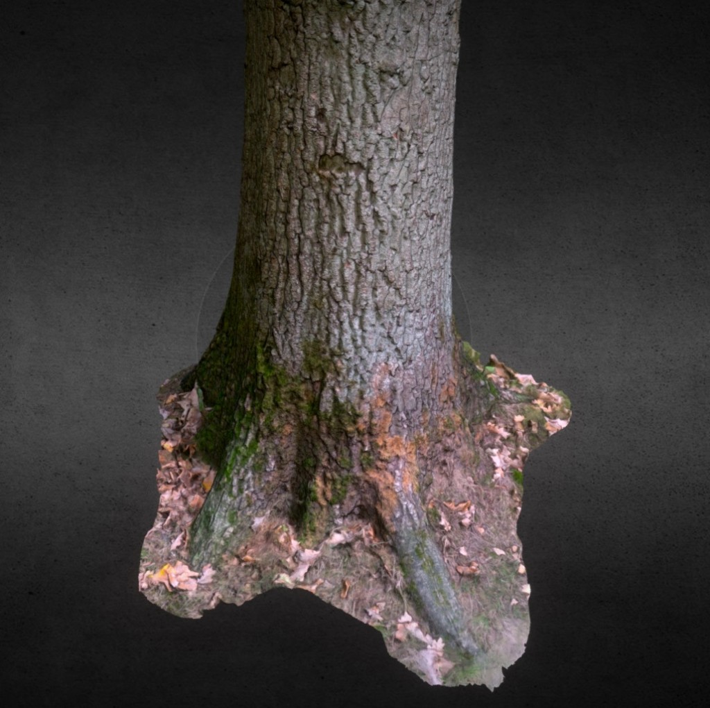 Tree 01 preview image 1