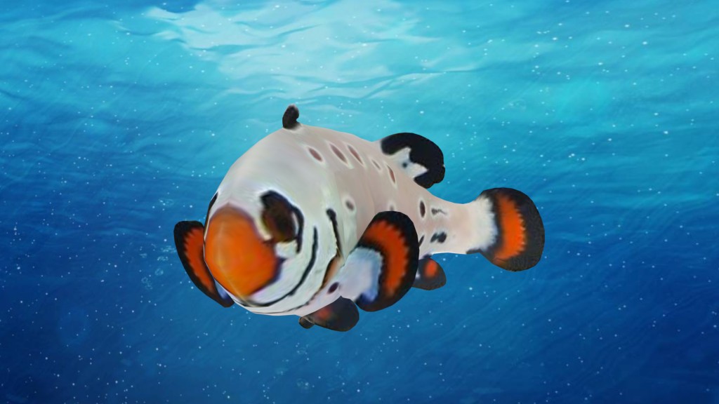 Wyoming White Tang preview image 2