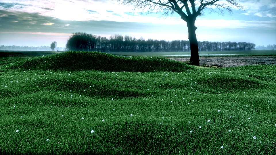 grass,hdr preview image 1